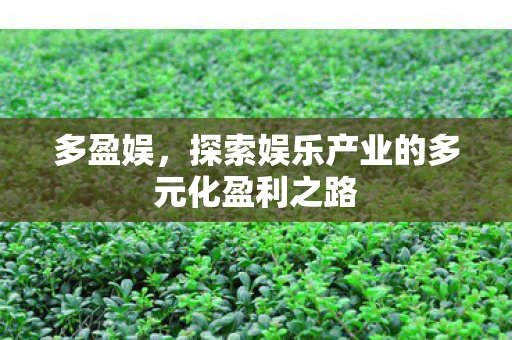 多盈娱，探索娱乐产业的多元化盈利之路