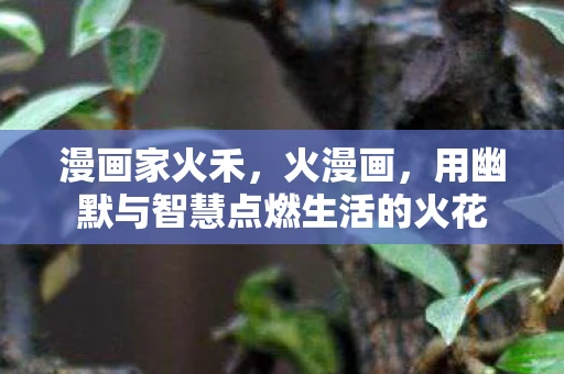 漫画家火禾，火漫画，用幽默与智慧点燃生活的火花