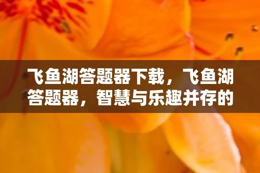 飞鱼湖答题器下载，飞鱼湖答题器，智慧与乐趣并存的全新体验