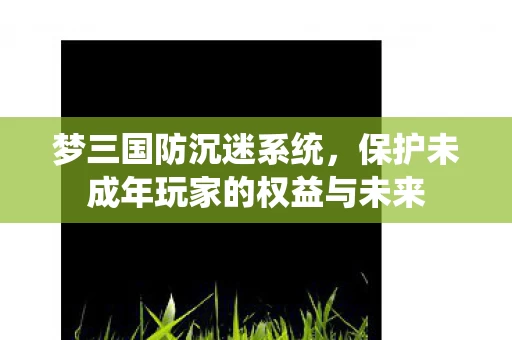 保护未成年玩家的权益与未来图片