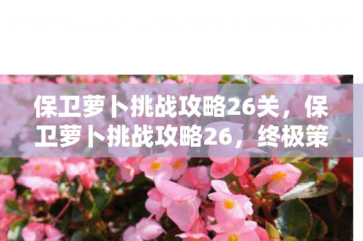 保卫萝卜挑战攻略26关，保卫萝卜挑战攻略26，终极策略与技巧揭秘