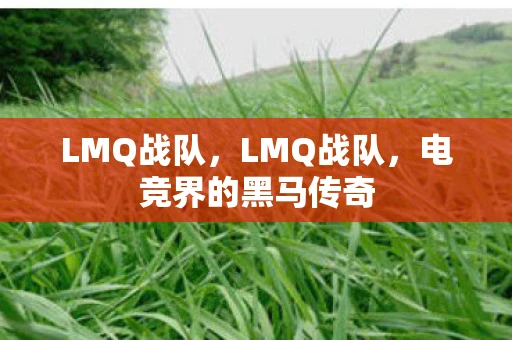 LMQ战队，LMQ战队，电竞界的黑马传奇