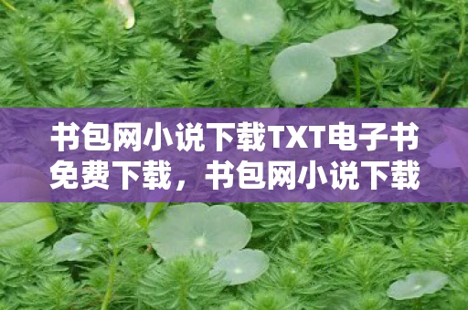 书包网小说下载TXT电子书免费下载，书包网小说下载，便捷与风险并存