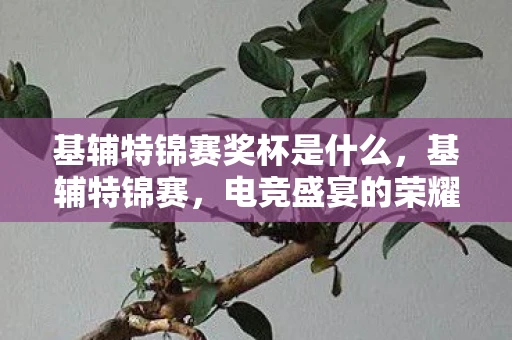 基辅特锦赛奖杯是什么，基辅特锦赛，电竞盛宴的荣耀与梦想