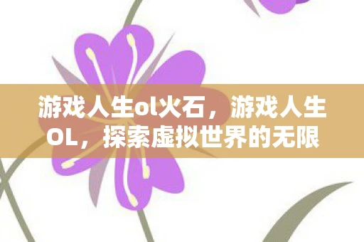 游戏人生ol火石，游戏人生OL，探索虚拟世界的无限可能
