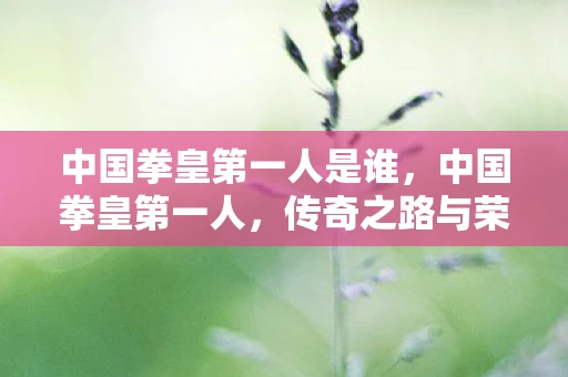 中国拳皇第一人是谁，中国拳皇第一人，传奇之路与荣耀时刻