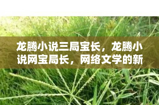 龙腾小说三局宝长，龙腾小说网宝局长，网络文学的新领航者