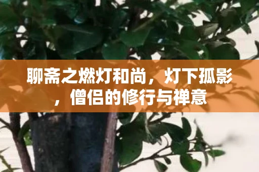 聊斋之燃灯和尚，灯下孤影，僧侣的修行与禅意