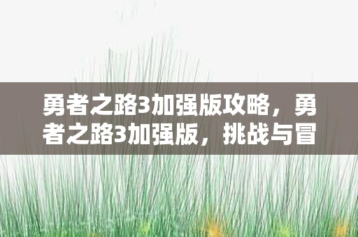 勇者之路3加强版攻略，勇者之路3加强版，挑战与冒险的终极篇章
