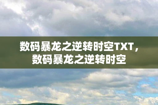 数码暴龙之逆转时空TXT，数码暴龙之逆转时空