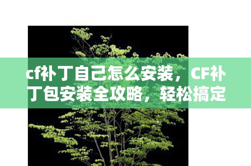 cf补丁自己怎么安装，CF补丁包安装全攻略，轻松搞定游戏更新