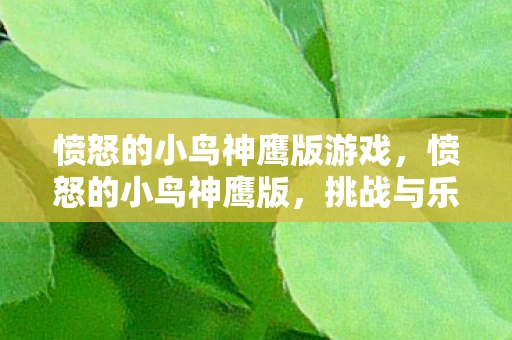 愤怒的小鸟神鹰版游戏，愤怒的小鸟神鹰版，挑战与乐趣并存的全新冒险