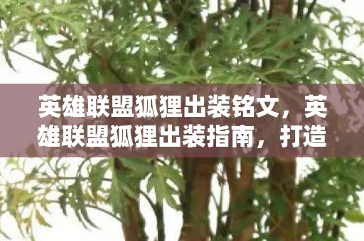 英雄联盟狐狸出装铭文，英雄联盟狐狸出装指南，打造高效爆发与持续输出