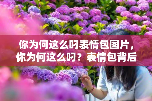 你为何这么叼表情包图片，你为何这么叼？表情包背后的文化现象解析