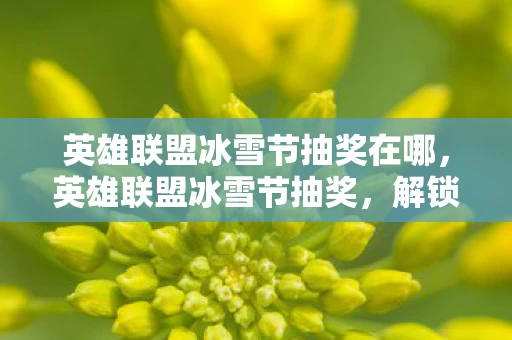 英雄联盟冰雪节抽奖在哪，英雄联盟冰雪节抽奖，解锁你的幸运时刻