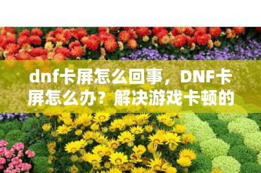 dnf卡屏怎么回事，DNF卡屏怎么办？解决游戏卡顿的实用方法