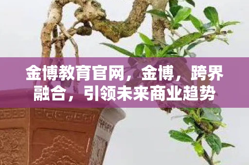 金博教育官网，金博，跨界融合，引领未来商业趋势