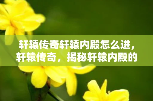 轩辕传奇轩辕内殿怎么进，轩辕传奇，揭秘轩辕内殿的神秘面纱