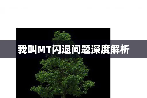 我叫MT闪退问题深度解析图片