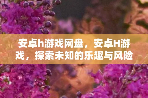 安卓h游戏网盘，安卓H游戏，探索未知的乐趣与风险