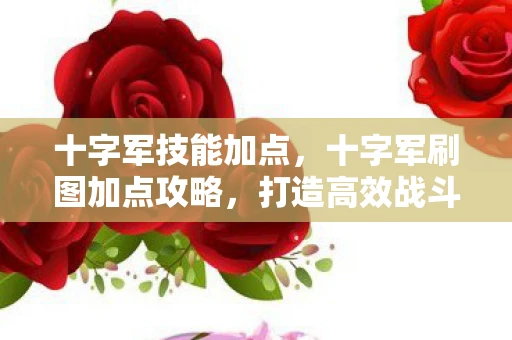 十字军技能加点，十字军刷图加点攻略，打造高效战斗力的关键