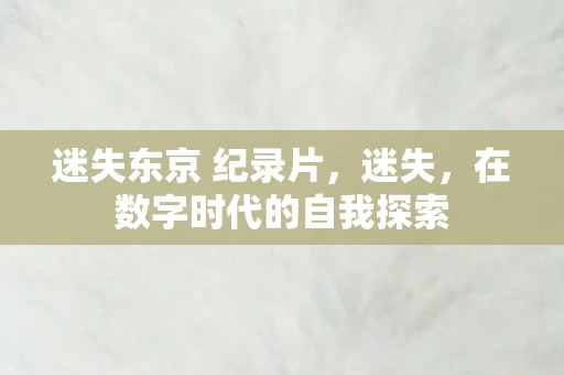 迷失东京 纪录片，迷失，在数字时代的自我探索