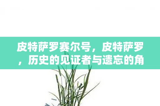 皮特萨罗赛尔号，皮特萨罗，历史的见证者与遗忘的角落