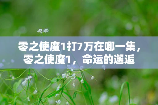零之使魔1打7万在哪一集，零之使魔1，命运的邂逅