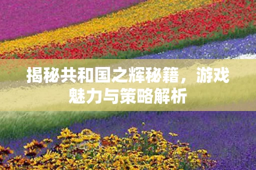 揭秘共和国之辉秘籍图片