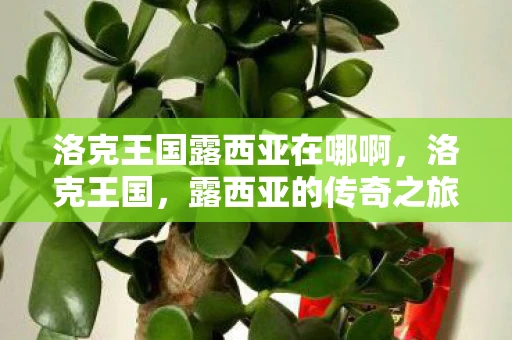 洛克王国露西亚在哪啊，洛克王国，露西亚的传奇之旅