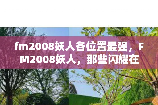fm2008妖人各位置最强，FM2008妖人，那些闪耀在绿茵场上的新星