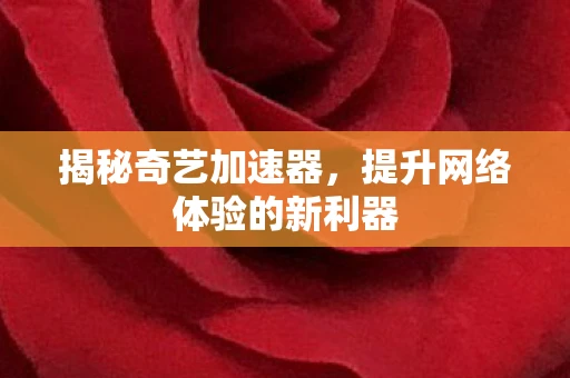 揭秘奇艺加速器，提升网络体验的新利器