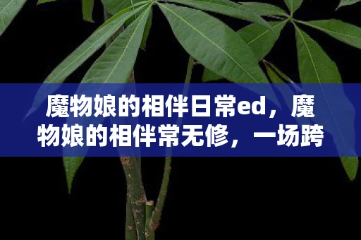 魔物娘的相伴日常ed，魔物娘的相伴常无修，一场跨越种族的温馨之旅