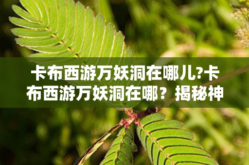 卡布西游万妖洞在哪儿?卡布西游万妖洞在哪？揭秘神秘妖洞的位置与传说