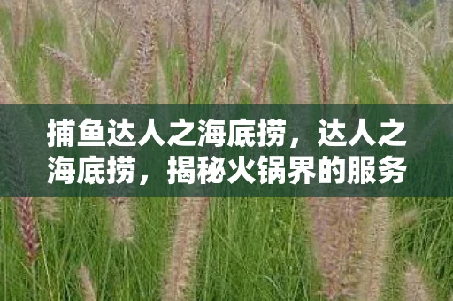 捕鱼达人之海底捞，达人之海底捞，揭秘火锅界的服务之王