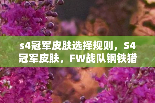 s4冠军皮肤选择规则，S4冠军皮肤，FW战队钢铁猎手系列皮肤的背后故事
