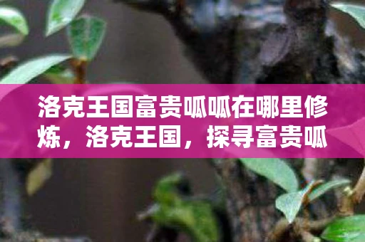 洛克王国富贵呱呱在哪里修炼，洛克王国，探寻富贵呱呱的修行之地