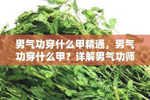 男气功穿什么甲精通，男气功穿什么甲？详解男气功师的装备选择