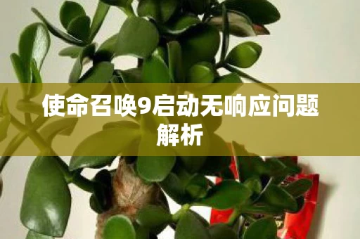 使命召唤9启动无响应问题解析图片