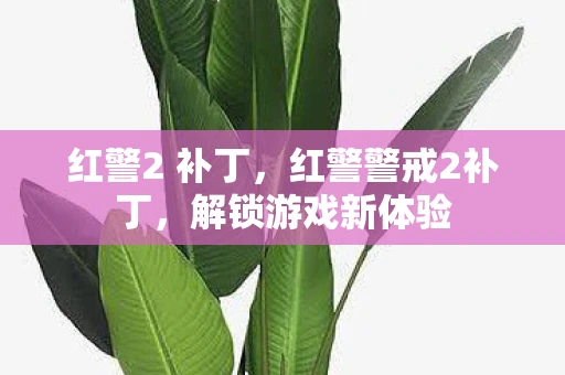 红警2 补丁，红警警戒2补丁，解锁游戏新体验