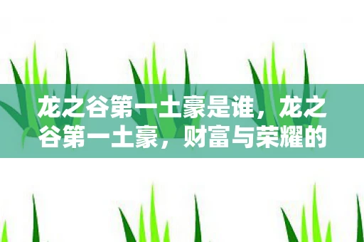 龙之谷第一土豪是谁，龙之谷第一土豪，财富与荣耀的传奇