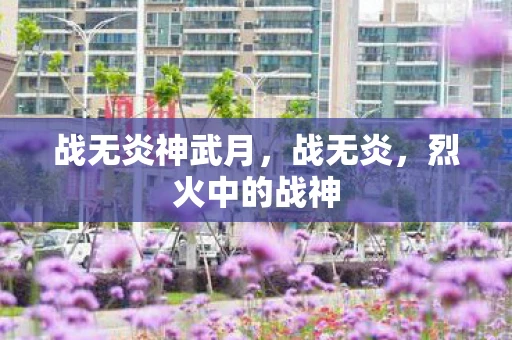 战无炎神武月，战无炎，烈火中的战神