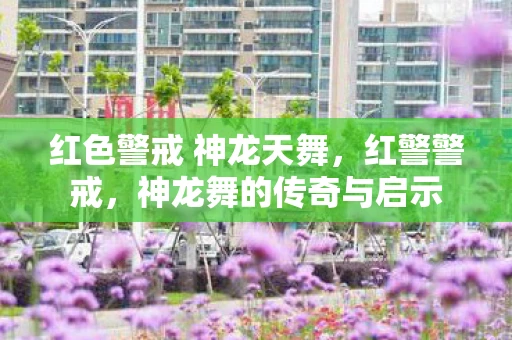 红色警戒 神龙天舞，红警警戒，神龙舞的传奇与启示