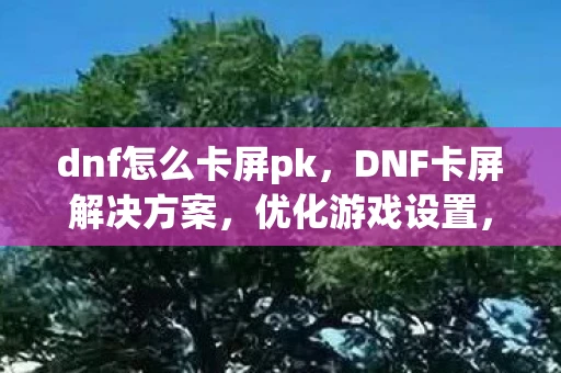 dnf怎么卡屏pk，DNF卡屏解决方案，优化游戏设置，提升流畅度