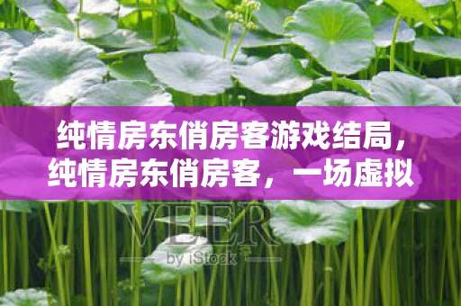 纯情房东俏房客游戏结局，纯情房东俏房客，一场虚拟与现实交织的浪漫冒险