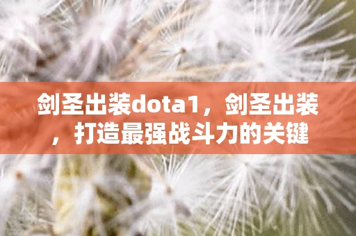剑圣出装dota1，剑圣出装，打造最强战斗力的关键