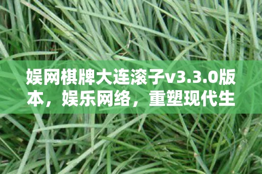 娱网棋牌大连滚子v3.3.0版本，娱乐网络，重塑现代生活的双刃剑