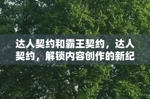 达人契约和霸王契约，达人契约，解锁内容创作的新纪元