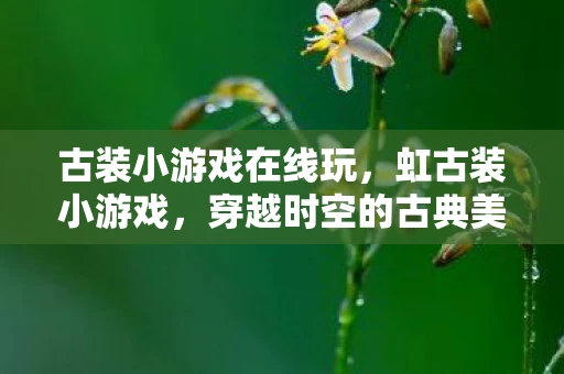 古装小游戏在线玩，虹古装小游戏，穿越时空的古典美学体验
