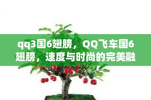 qq3国6翅膀，QQ飞车国6翅膀，速度与时尚的完美融合